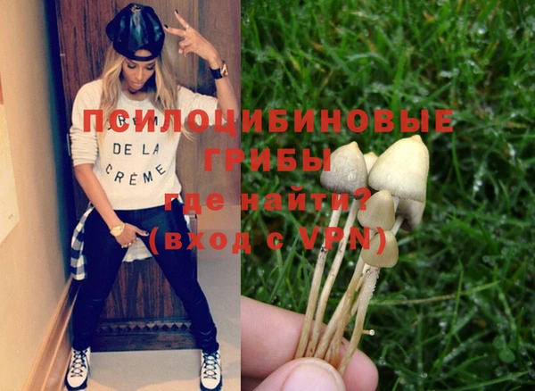 спиды Богданович