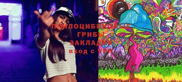спиды Богданович