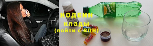 спиды Богданович