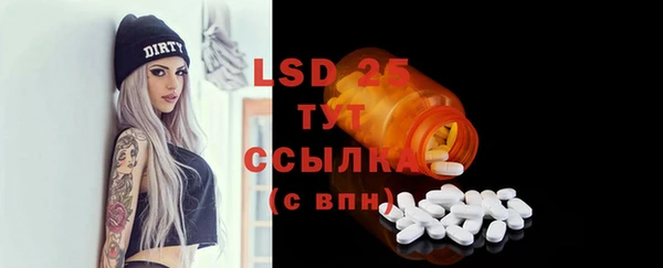 спиды Богданович