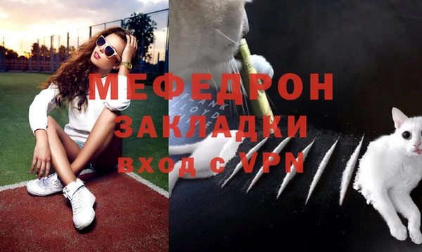 спиды Богданович