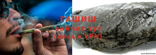 apvp Богородск