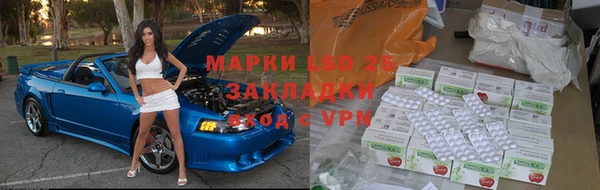 спиды Богданович
