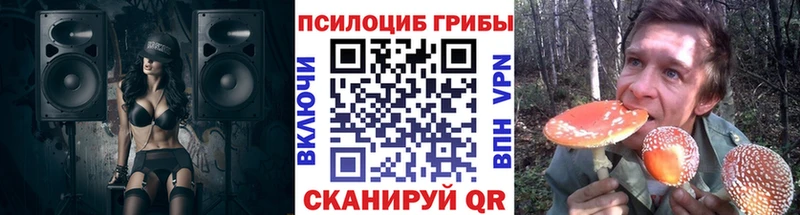 Купить Оленегорск Псилоцибиновые грибы GOLDEN TEACHER