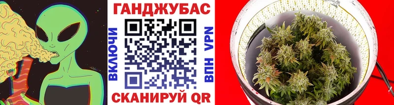 Купить  Оленегорск  Шишки марихуана план 